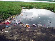 Lake Powai morning after Ganesh immersions.
